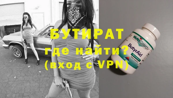 шишки Ельня